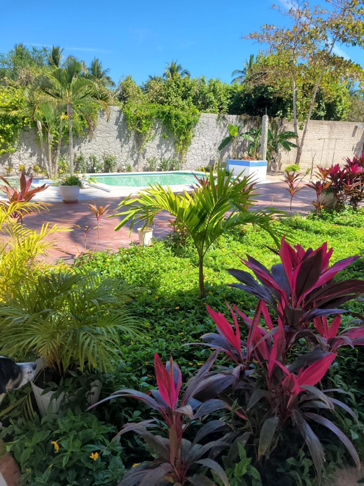 La Pucca Hotel Boutique Resort La Peñita de Jaltemba Eksteriør bilde